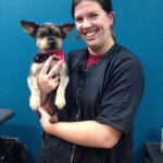 Kimberly Haines, Pampered Pet Salon & Boutique
