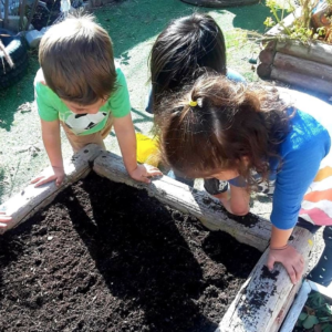 Photo of children planting plants.