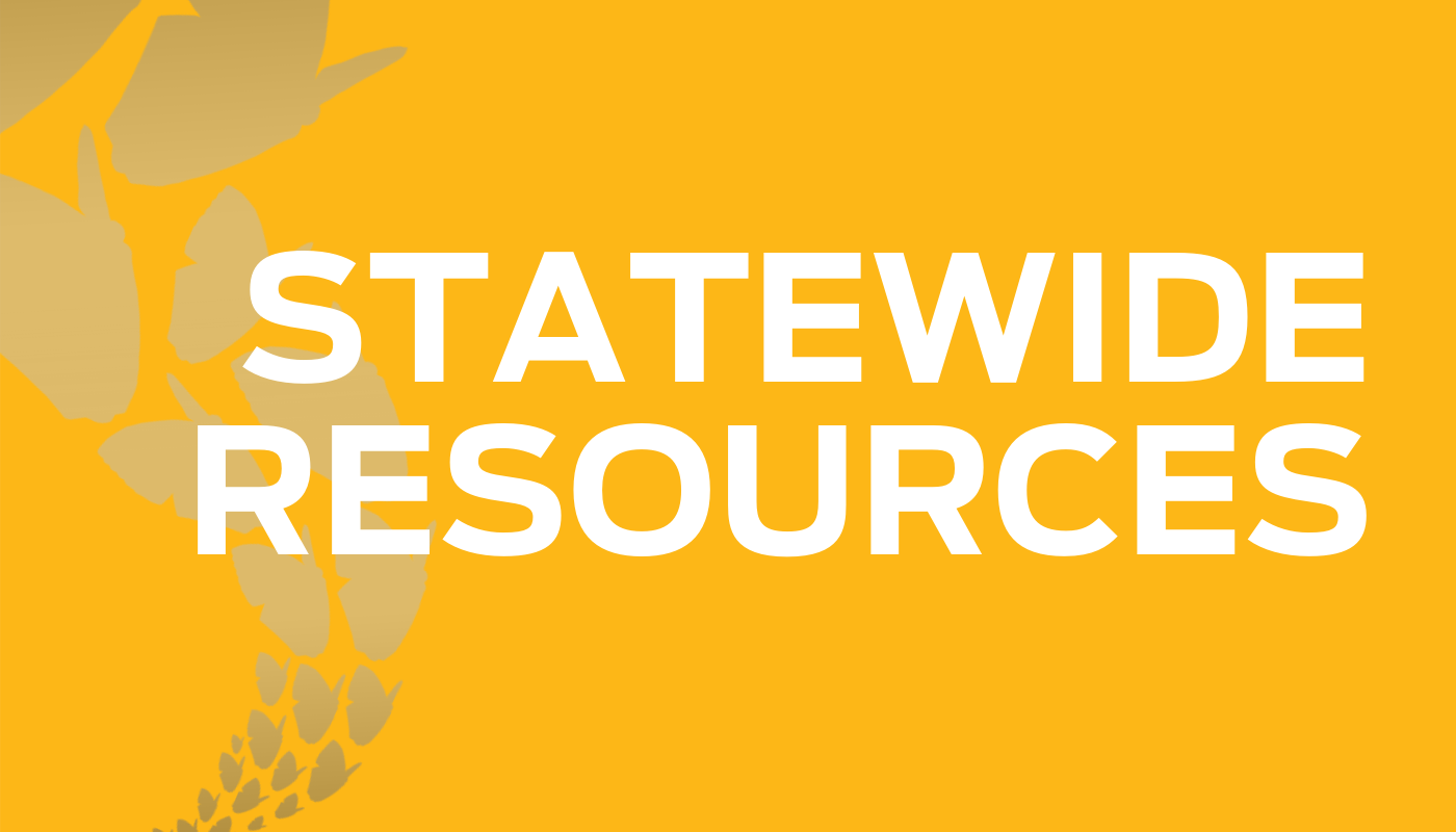 cover image for statewide resources