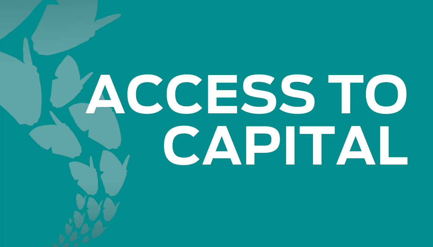 cover image for access to capital