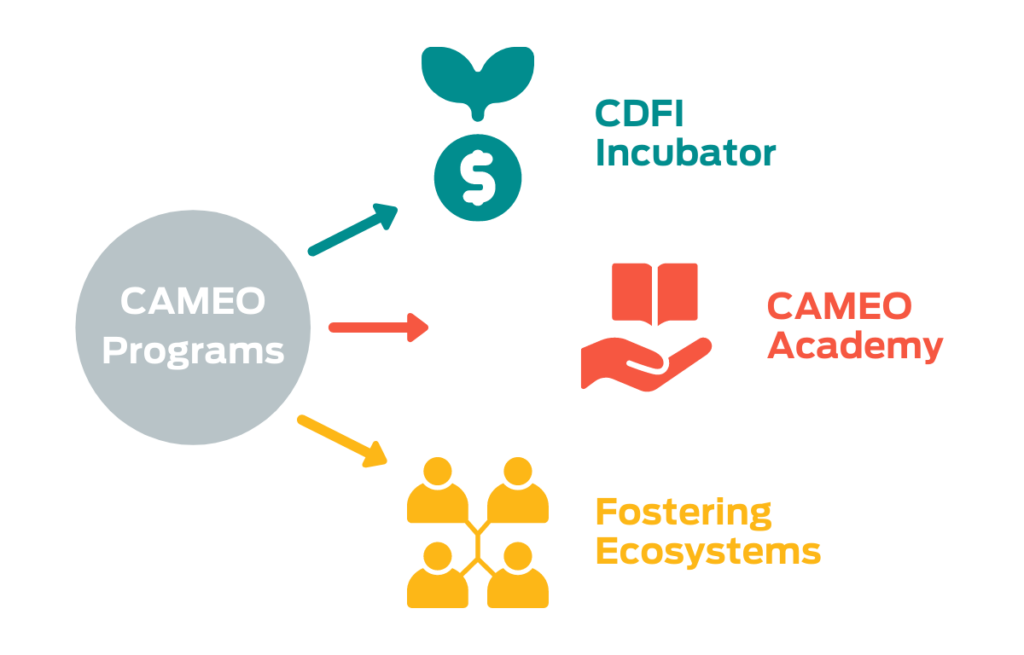 A graphic showing the three branches of CAMEO Programs: CDFI Incubator, CAMEO Academy, and Fostering Ecosystems