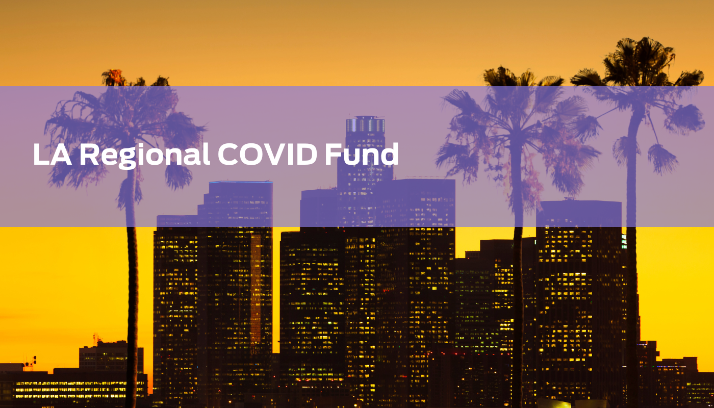 covid fund cover image
