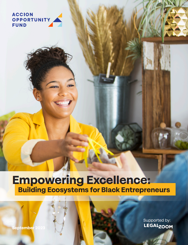 cover page for Empower Excellence report